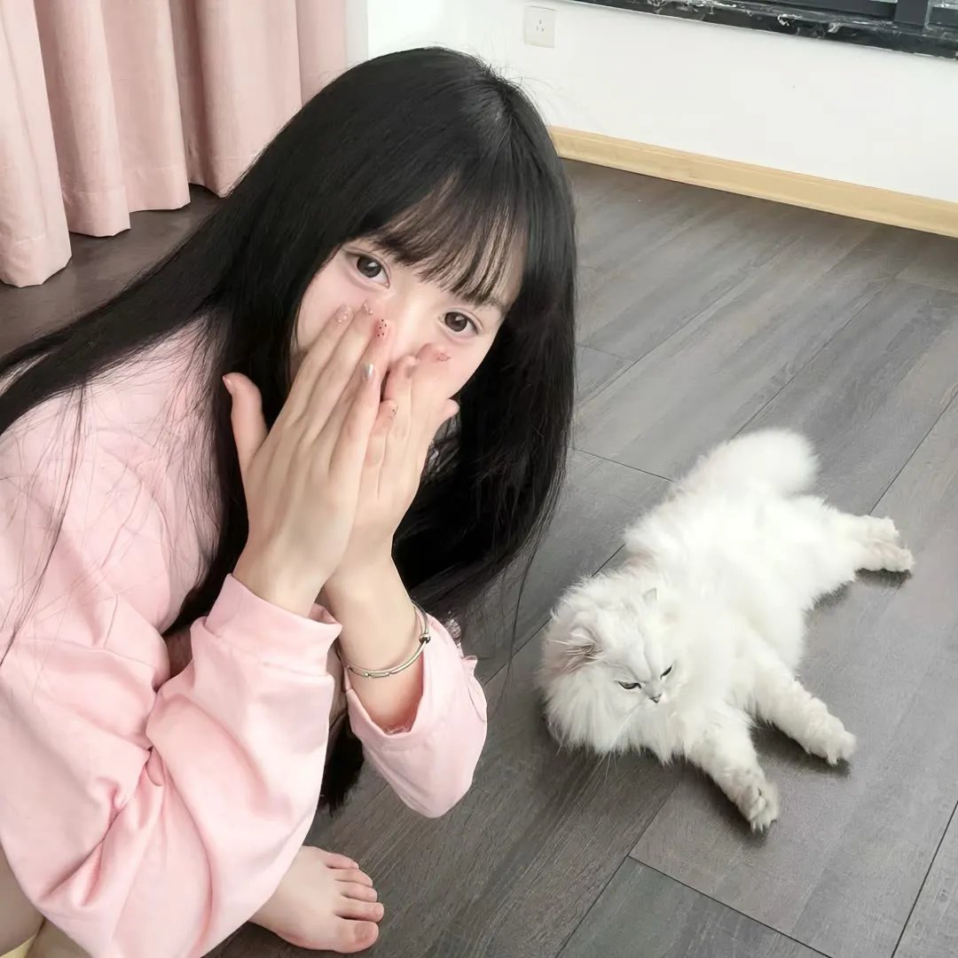 逐梦美声黄玫瑰