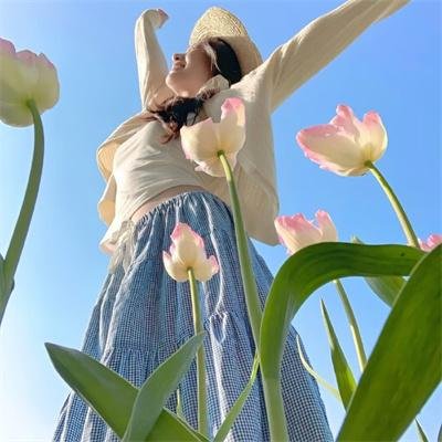四圣兽之幽魂还愿师